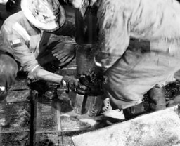 Waveland Resource Partners VIII, L.P.. - Image 4