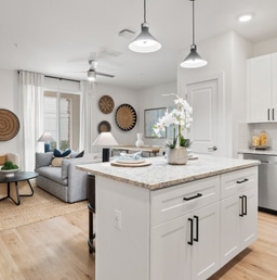 CS1031 Cacema Townhomes, DST - Image 3