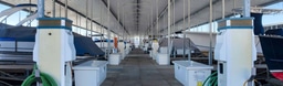 NexPoint Marina DST - Image 2